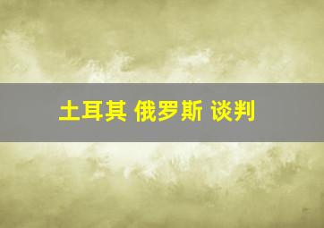 土耳其 俄罗斯 谈判